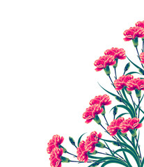 Bouquet of flowers carnation.