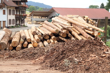 Holz vor einem Sägewerk