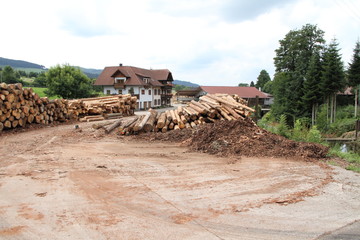 Holzstämme vor einem Sägewerk