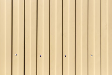 Obraz premium Beige profile sheet