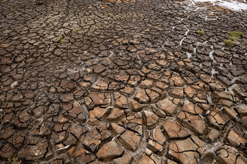 dry cracks in the land
