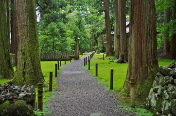 Fototapeta premium 福井県勝山市の平泉寺の参道