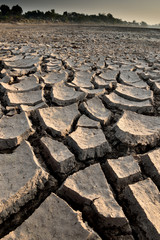 Fototapeta premium dry cracks in the land