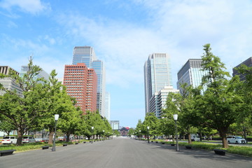 Fototapeta premium 東京