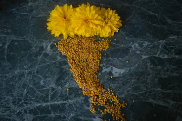 Пчелиная пыльца и три желтых цветка Рудбекии