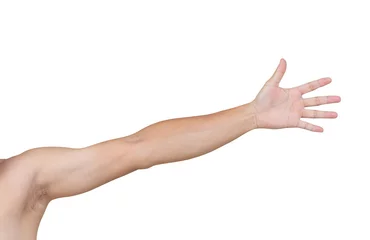 Fotobehang Man shoulder and arm isolated on white background, clipping path © littlestocker