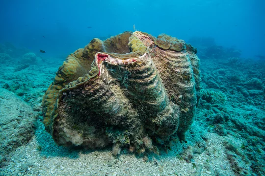 360_F_119200727_m5aTLXCPWwFIpS