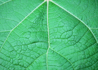 colorful background abstract