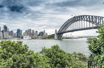 Obraz premium Sydney Harbour Bridge otoczony roślinnością - Nowa Południowa Walia - A
