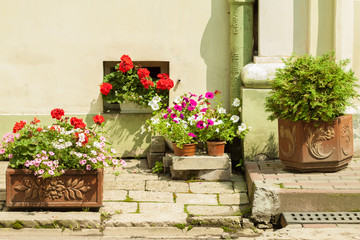 Fototapeta na wymiar European street flowerdbed