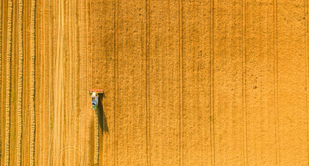 Harvester machine working in field . Combine harvester agriculture machine harvesting golden ripe wheat field. Agriculture. Aerial view. From above.