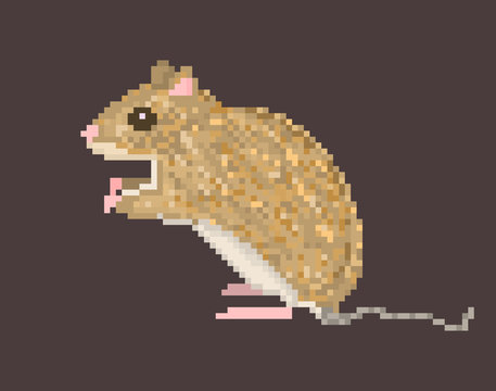Pixel art sitting brown field mouse or meadow vole