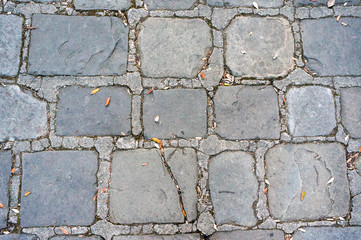 Pavers with cement