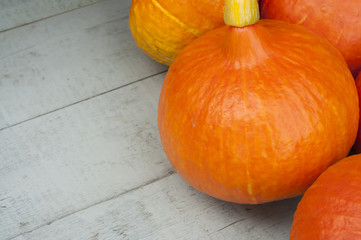 Pumpkin on a gray background