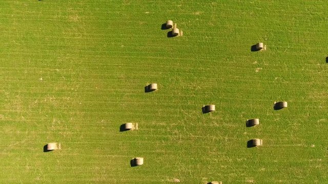 Video von Heu Ballen auf einem gr&uuml;nem Acker Land
