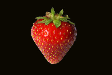 Truskawka strawberry - obrazy, fototapety, plakaty