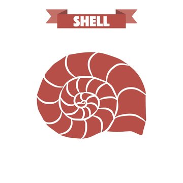 shell vectorshell