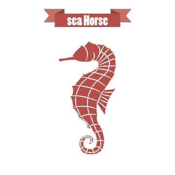 Red Seahorse 