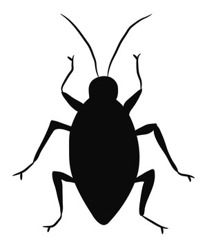 beetle cartoon vector icon