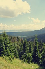 Idyllic landscape in the mountains on a sunny day; green fields and pines; nature. Image filtered in faded, nostalgic, retro, Instagram style. Black lake, Durmitor, Montenegro. - 119206197