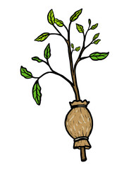 plant graft / cartoon vector and illustration, hand drawn style, isolated on white background.