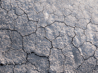 Cracked and separated of dried soil