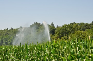 Water sprinkler installation in a field © Heliosphile