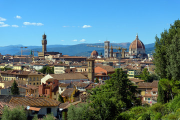 Fototapeta na wymiar cityscape of Florence, italy / cathedral and palazzo vecchio
