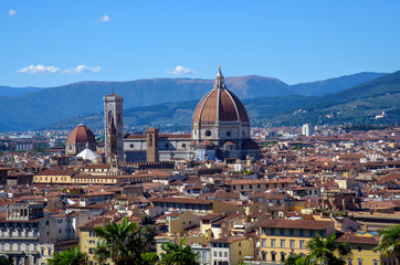 Fototapeta na wymiar cityscape of Florence, italy / cathedral of Santa Maria del fiore (saint mary of the flower)