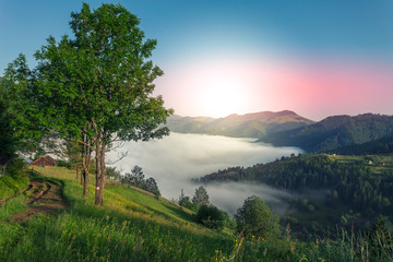 Obraz premium Foggy mountain landscape under morning sky. Carpathian mountains, Ukraine.