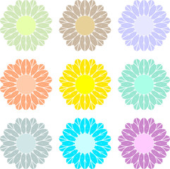 Flowers dahlias of multiple colors 2
