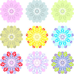 Flowers similar to dahlia, passionflower, flower of the passion, flower of lotus, sunflower, daisy, chrysanthemum 1