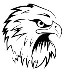 Obraz premium Fighting hawk