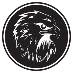 Fighting hawk black background