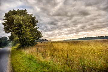 Beautiful English countryside. Stunning landscape over English c