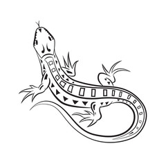 Lizard , tattoo, black and white vector  illustration.