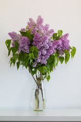 Beautiful Bunch of Lilac in the Vase