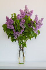 Bouquet of lilacs in a glass vase against white background.