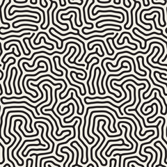 Vector Seamless Black and White Organic Lines Pattern