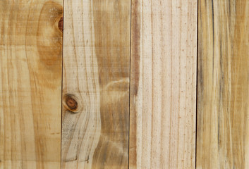Obraz premium Beautiful natural wood texture background