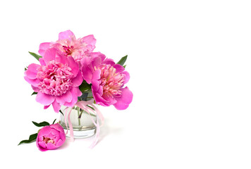 Pink peonies in small vase on a white background with space for text.