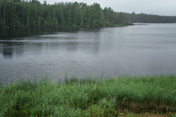 misty morning on scandinavian lake small rain