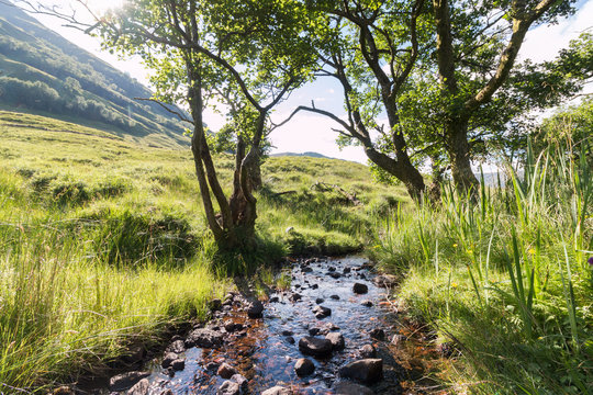 Kleiner Weiher im Glen Coe-Tal, Highlands, Schottland