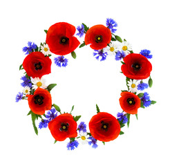 Wreath of red poppies, cornflowers and chamomile on white background with space for text. Flat lay