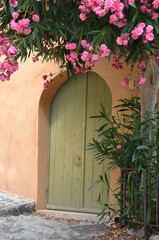 House with wooden door and flowering creeper on the wall