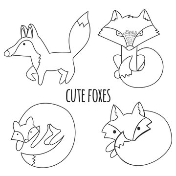 Vector set of cute foxes, autumn leaves and mushrooms. Hand draw fox for children's books.