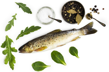 Raw trout on a white background