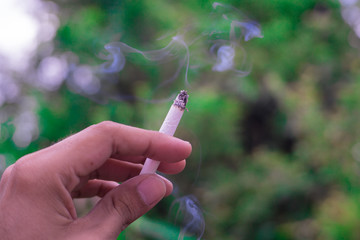 Cigarette And Smoke
