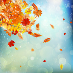Fototapeta na wymiar Autumn Concept Background. EPS 10