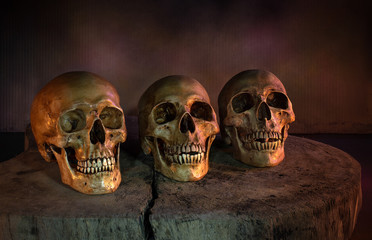 Three skull on the old block in  halloween dark night, Still life style